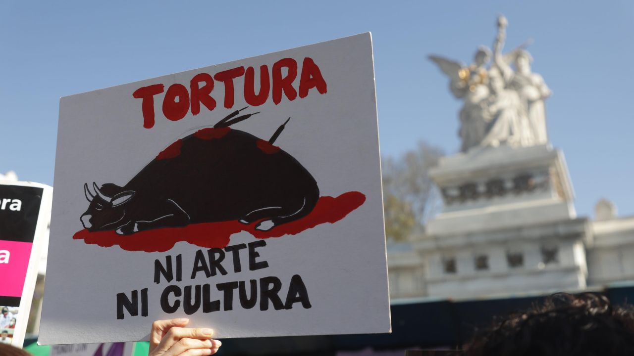 El Congreso de la CDMX aprobó en lo general la prohibición de espectáculos con animales, que contempla corridas de toros sin sangre.