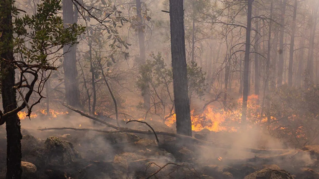 Incendios forestales en Chihuahua