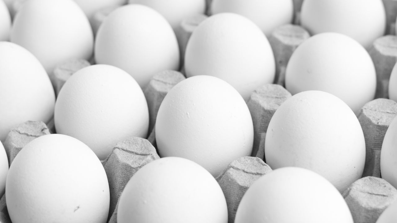 La OMS afirma que es seguro comer pollo y huevo ante los reportes de influenza aviar en humanos en México.