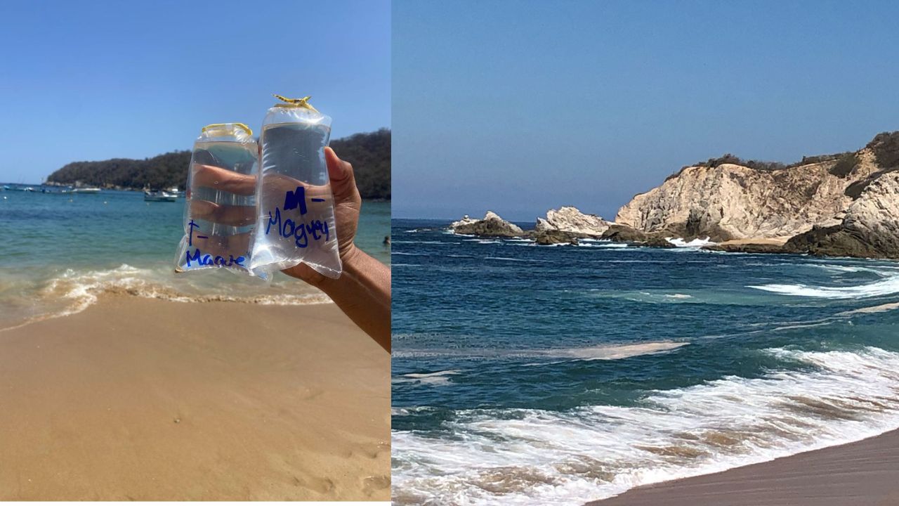 Las playas más contaminadas, señala Cofepris