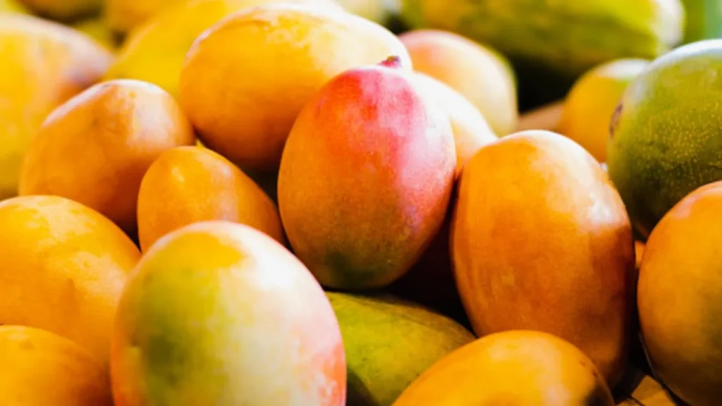 El precio del mango es variado dependiendo la ciudad.