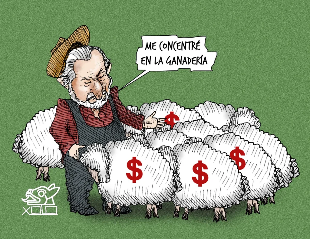 Xolo Cartón | La Lana de Adán