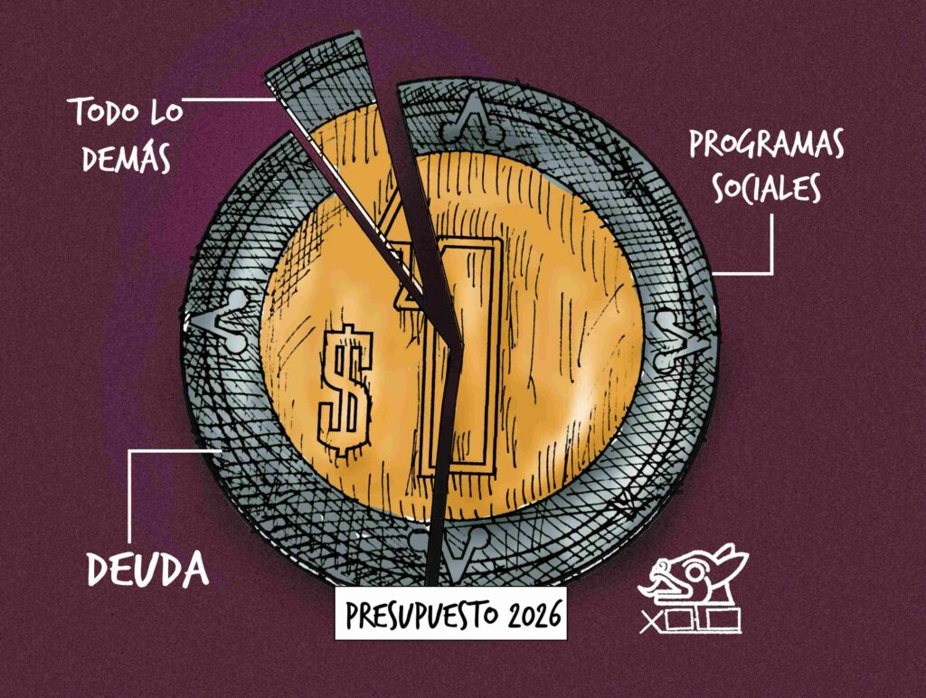 Cartón de Xolo | Propuesta