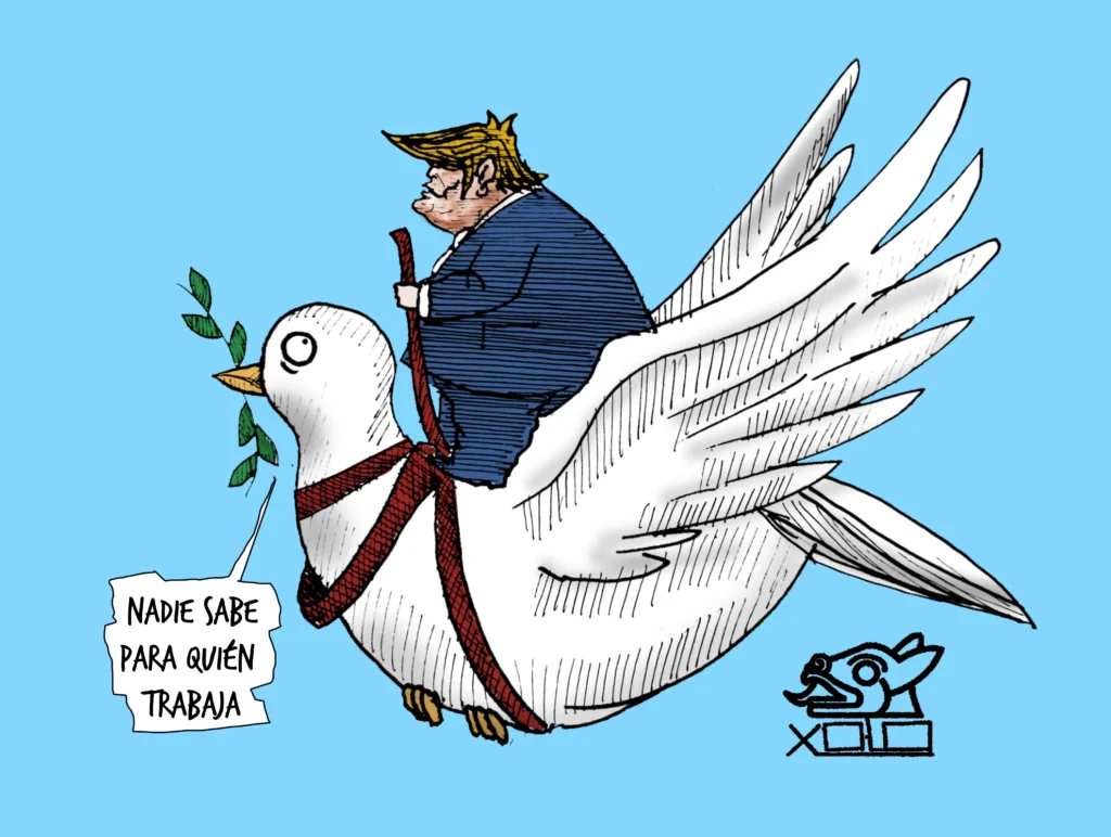 Xolo Carton | Robando cámara
