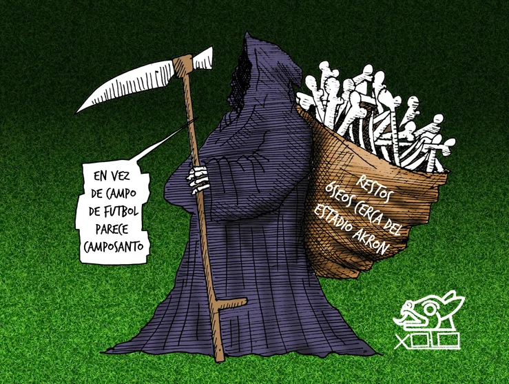 Xolo Carton | Jardinero