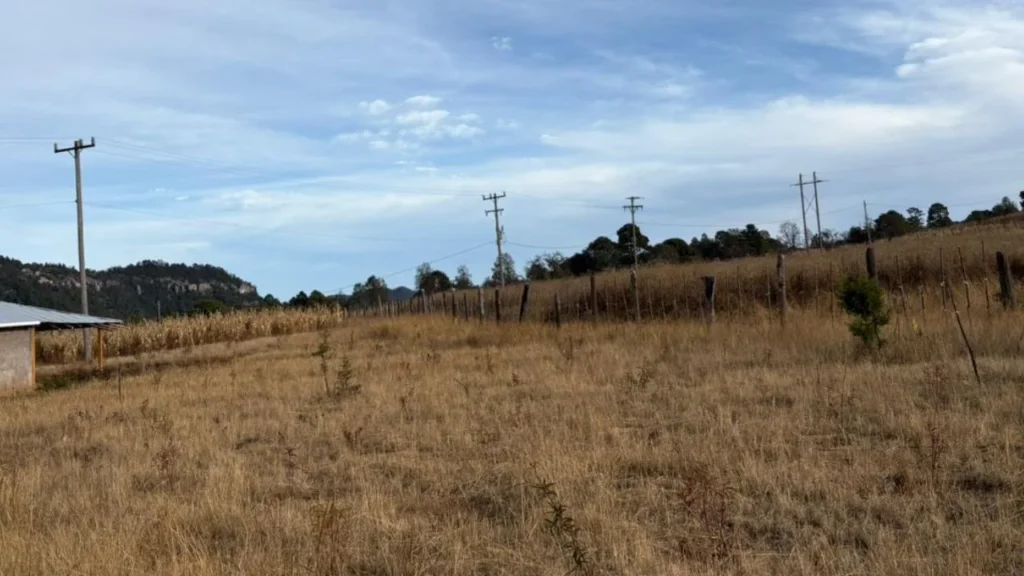 La CFE informó que realizará cuatro proyectos de electrificación en diversas localidades de Chihuahua.