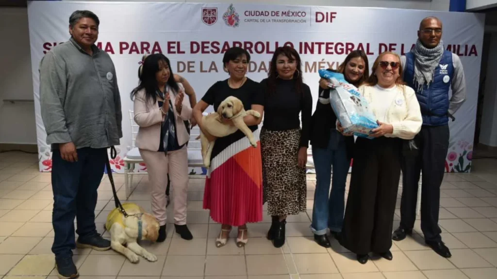 El Sistema para el DIF CDMX anunció que brindará alimento de calidad nutricional a refugios y fundaciones dedicadas al cuidado de animales.
