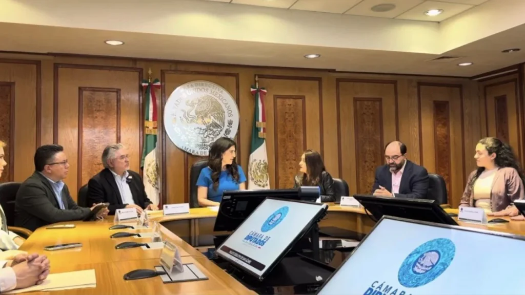 Exconsejeros electorales que forman parte de la organización Somos México entregaron su propuesta de reforma electoral a Kenia López Rabadán.