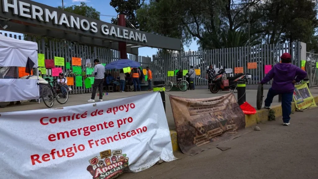 Nadine Gasman confirmó la muerte de 34 perritos recatados de Refugio Franciscano, 12 de ellos en el Deportivo Hermanos Galeana.