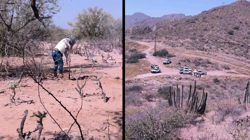 Imágenes en el ejido Felipe Ángeles, en el valle de Guaymas, en Sonora.