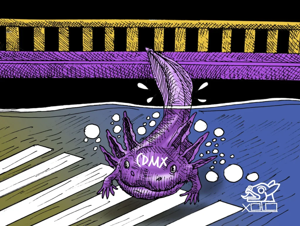 Xolo Carton: Inundados. Jueves 14 de mayo de 2026.