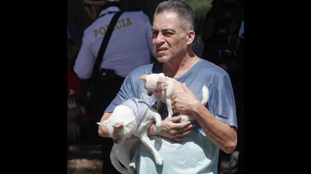 El PVEM CDMX propone que usuarios del transporte público puedan viajar con animales de compañía.
