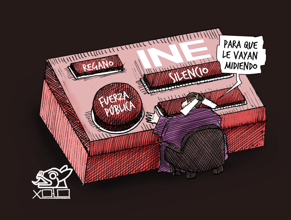 Xolo Carton | Consejo del INE