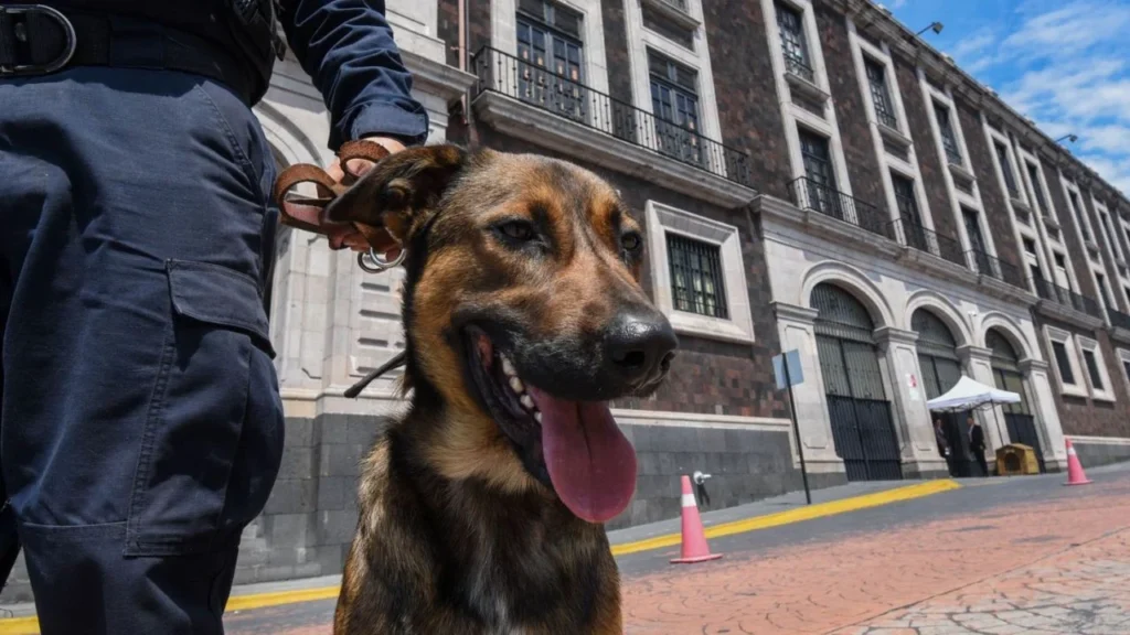 CDMX inaugura Centro Integral de Bienestar Animal
