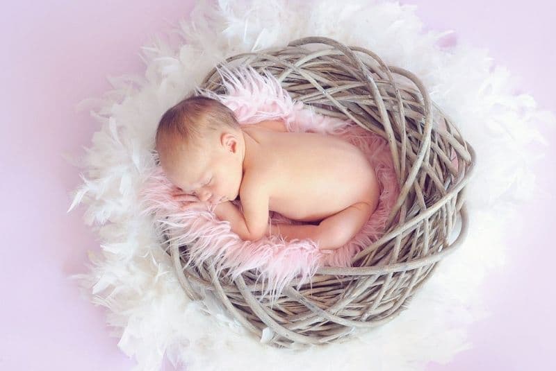 BEBE