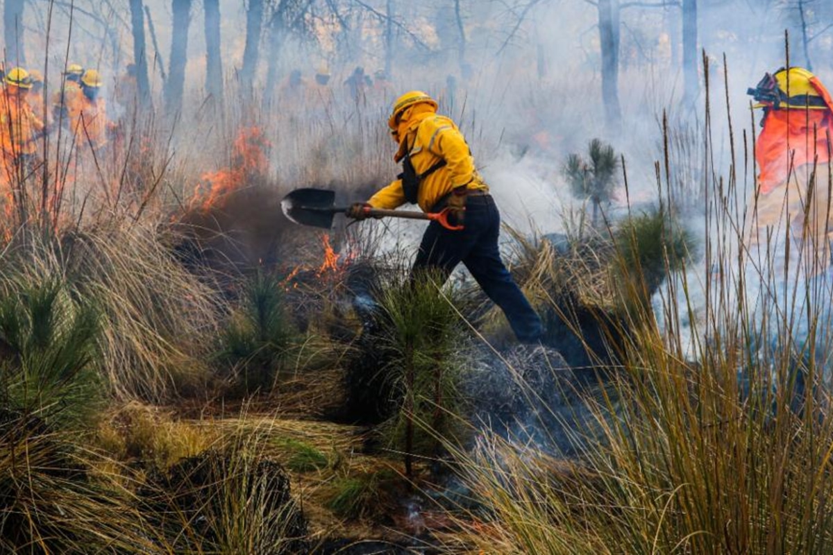 incendios forestales
