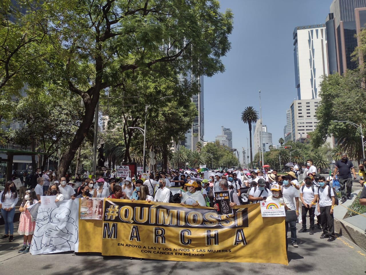 La Gran Marcha avanza por reforma