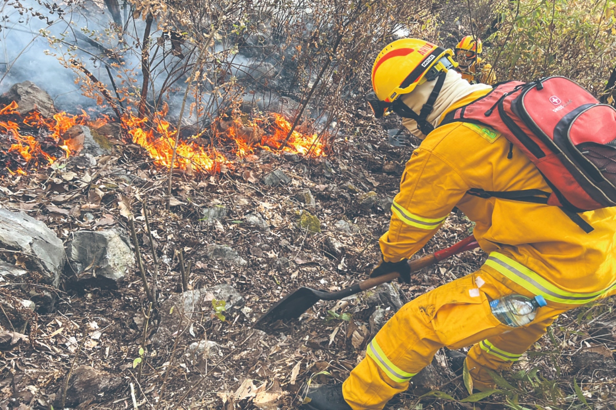 incendios
