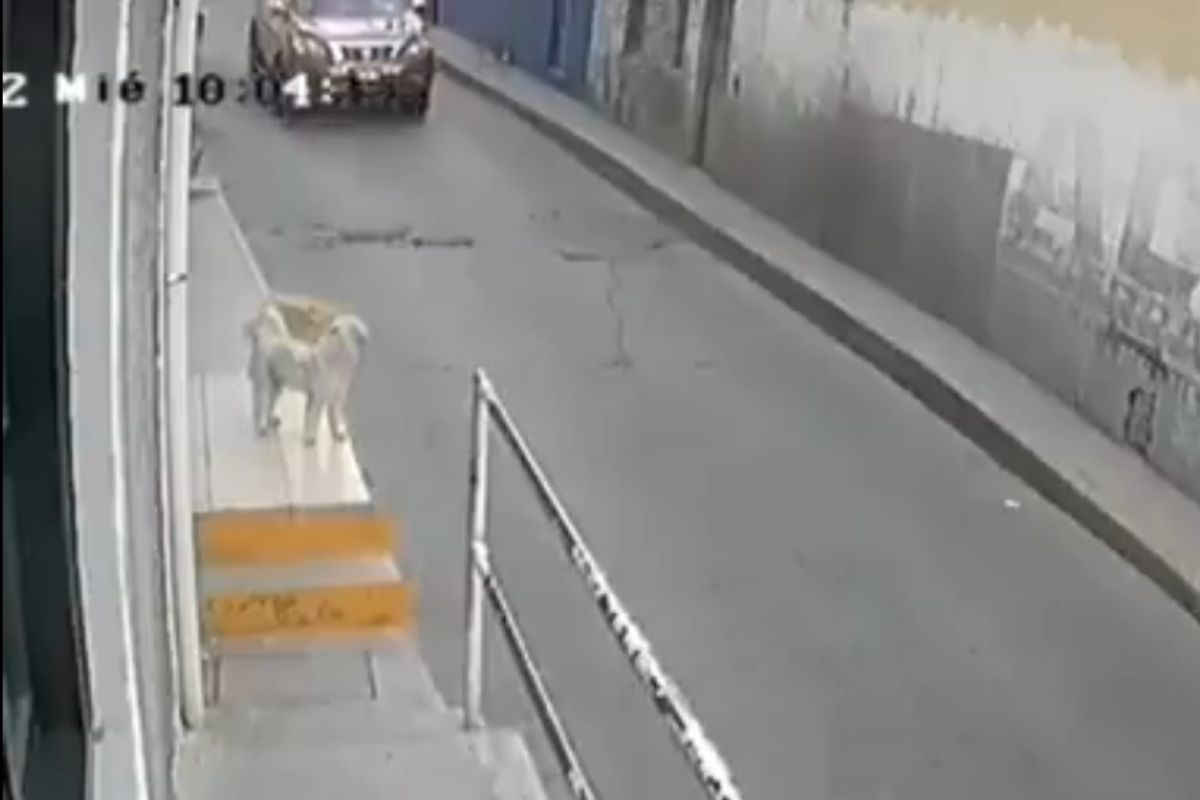 Tlalnepantla