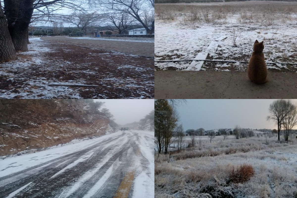 nieve