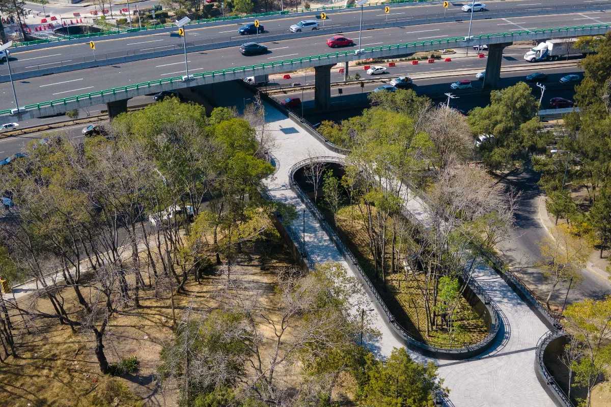 Este 4 de febrero se celebrará la Carrera de la Calzada Flotante de Chapultepec.