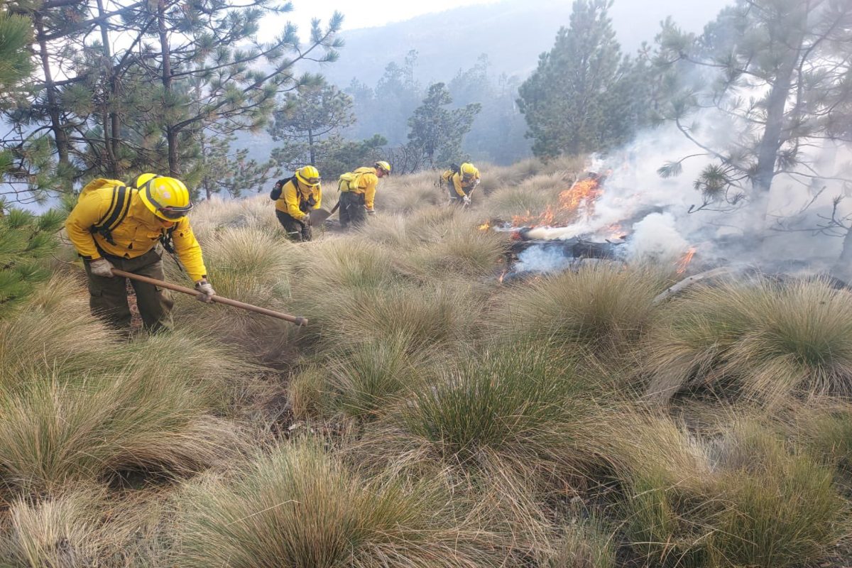 PICO ORIZABA