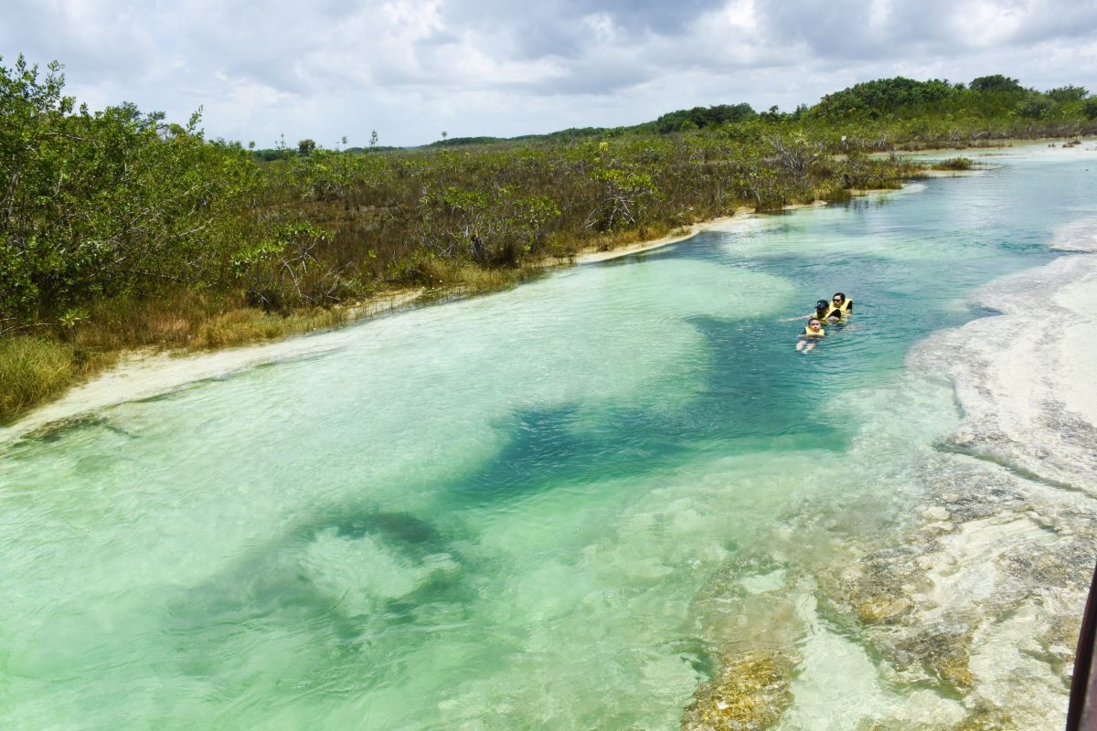 bacalar