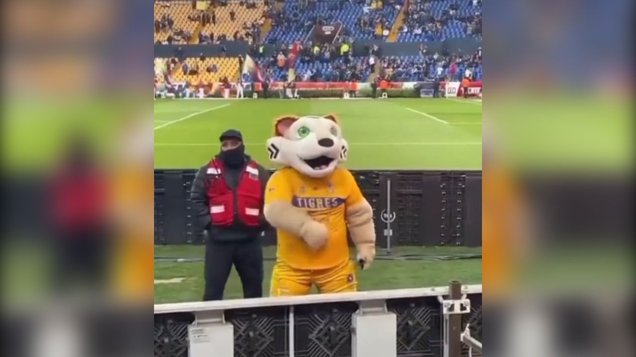 Botarga de Tigres