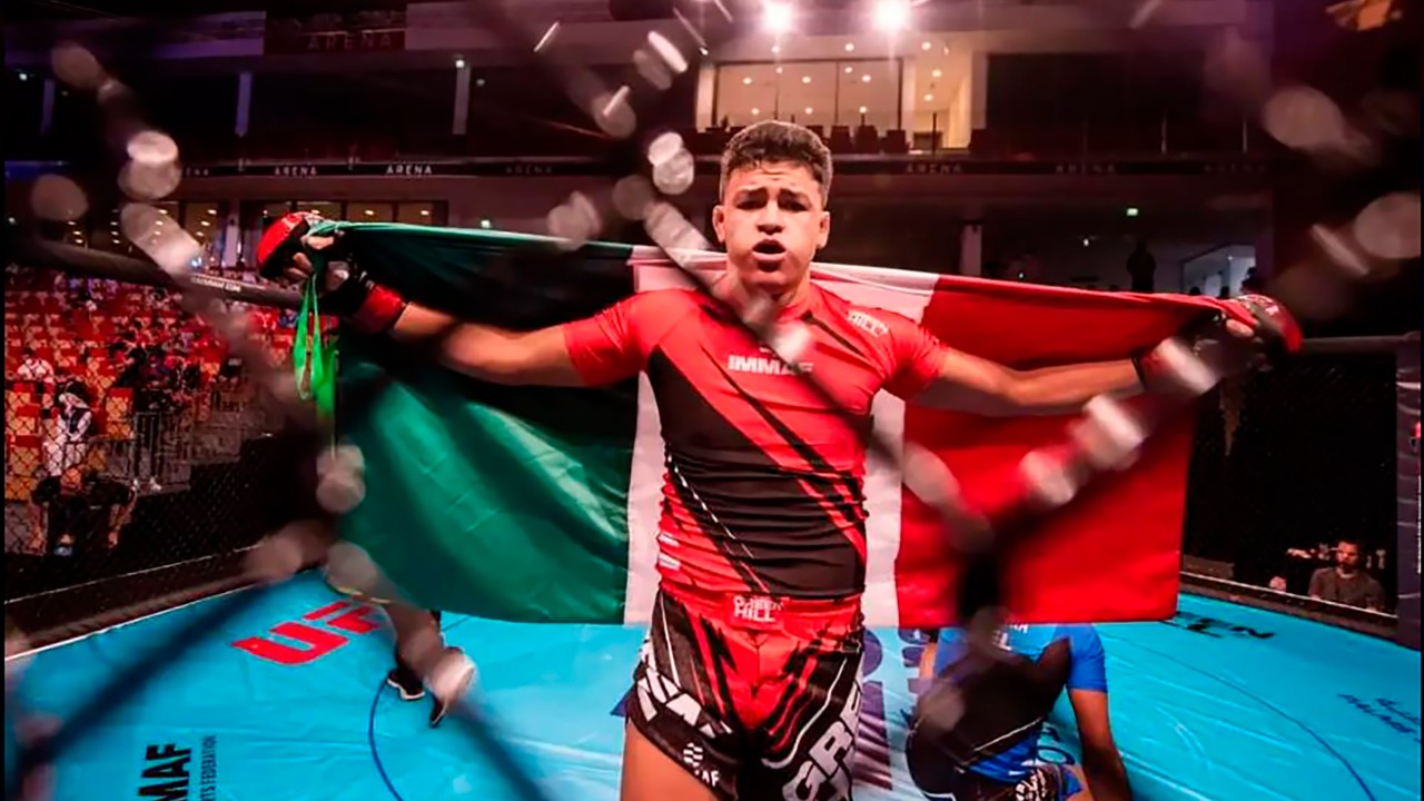 artes marciales mixtas