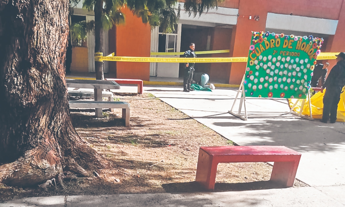 MENOR cae