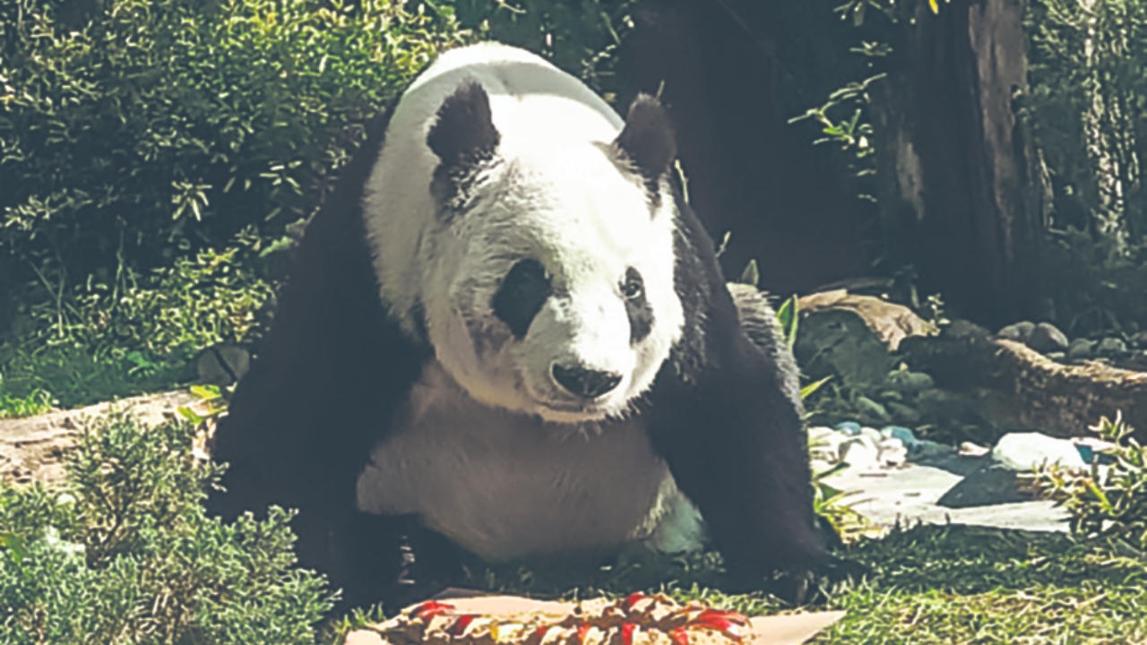 zoológico