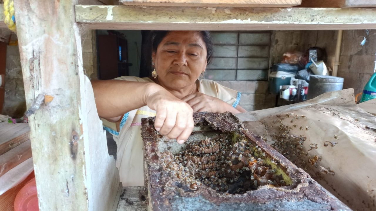 MIEL Abejas Yucatán