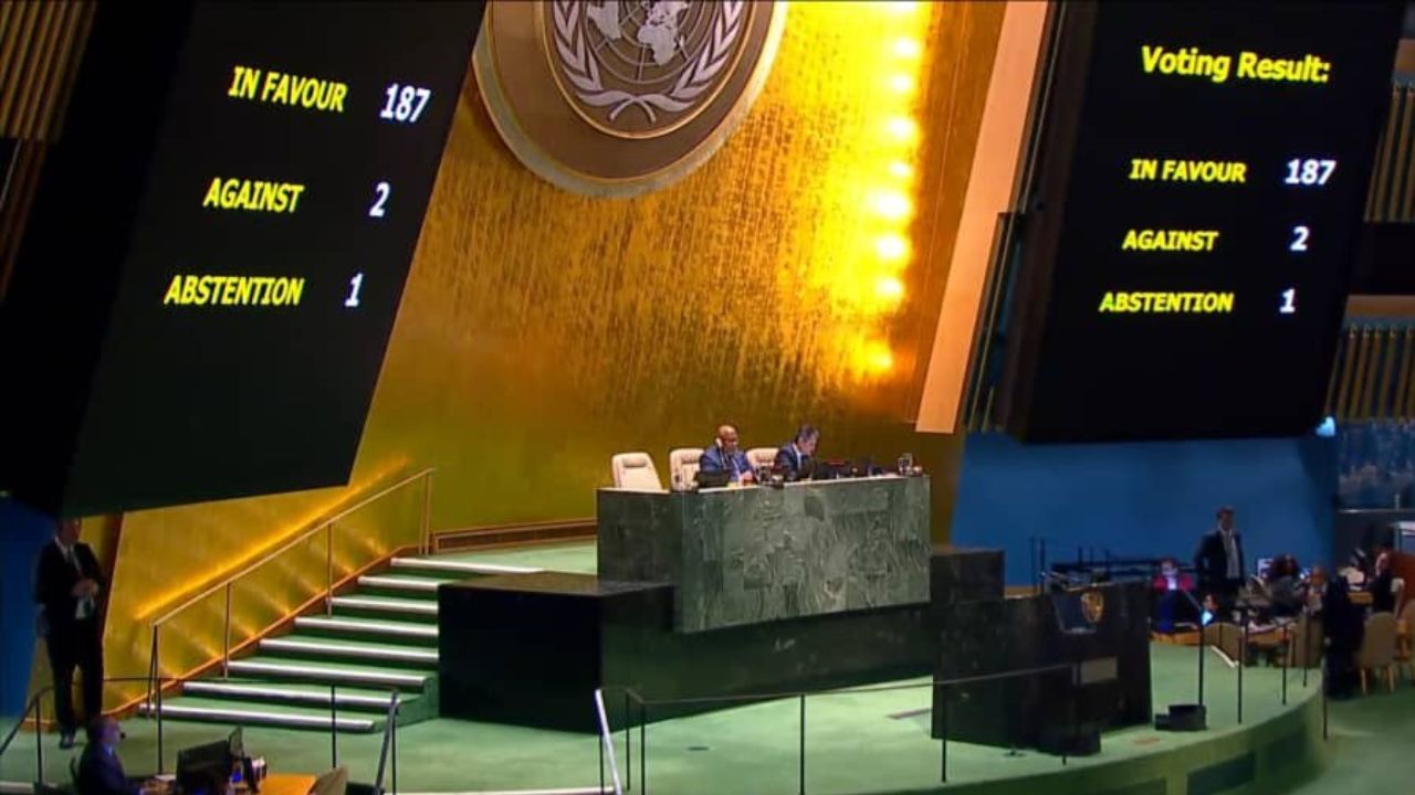 embargo ONU