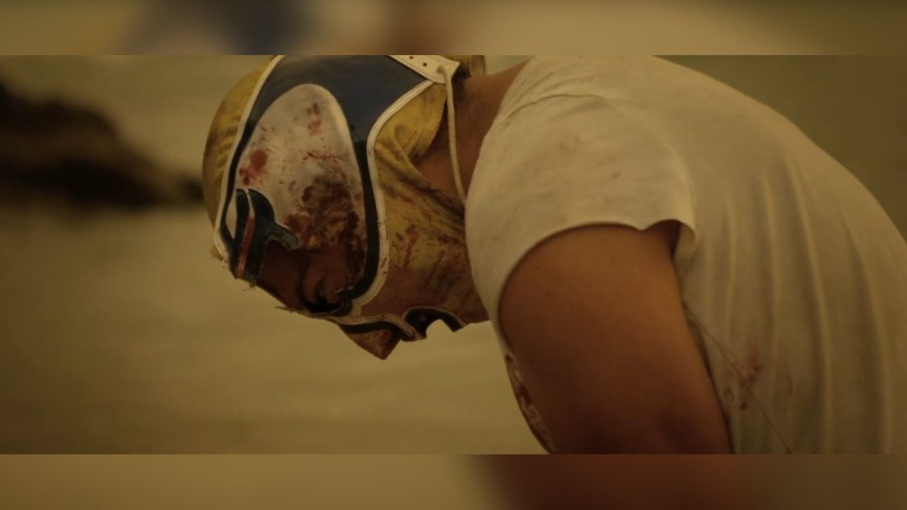 Pancho es el hijo de "El Halcón", un luchador retirado, quien se vuelve a poner la máscara para acabar la delincuencia