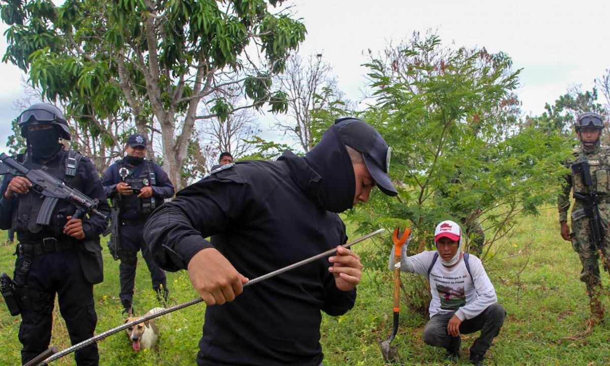 En lo que van del año, la Comisión Nacional de Búsqueda (CNB) ha reportado el hallazgo de 173 personas con vida y 134 hallazgos forenses.