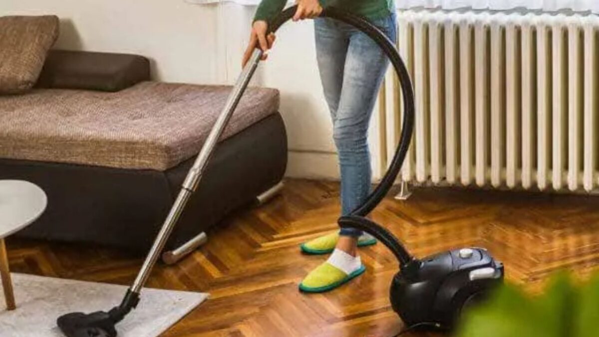 Para eliminar las chinches es necesario aspirar toda la casa