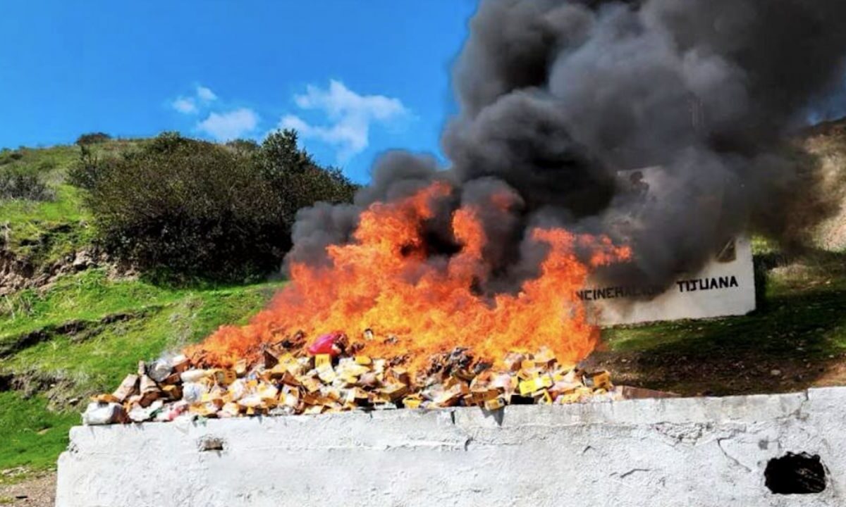 Quema de drogas en Baja California por parte de Fuerzas Federales