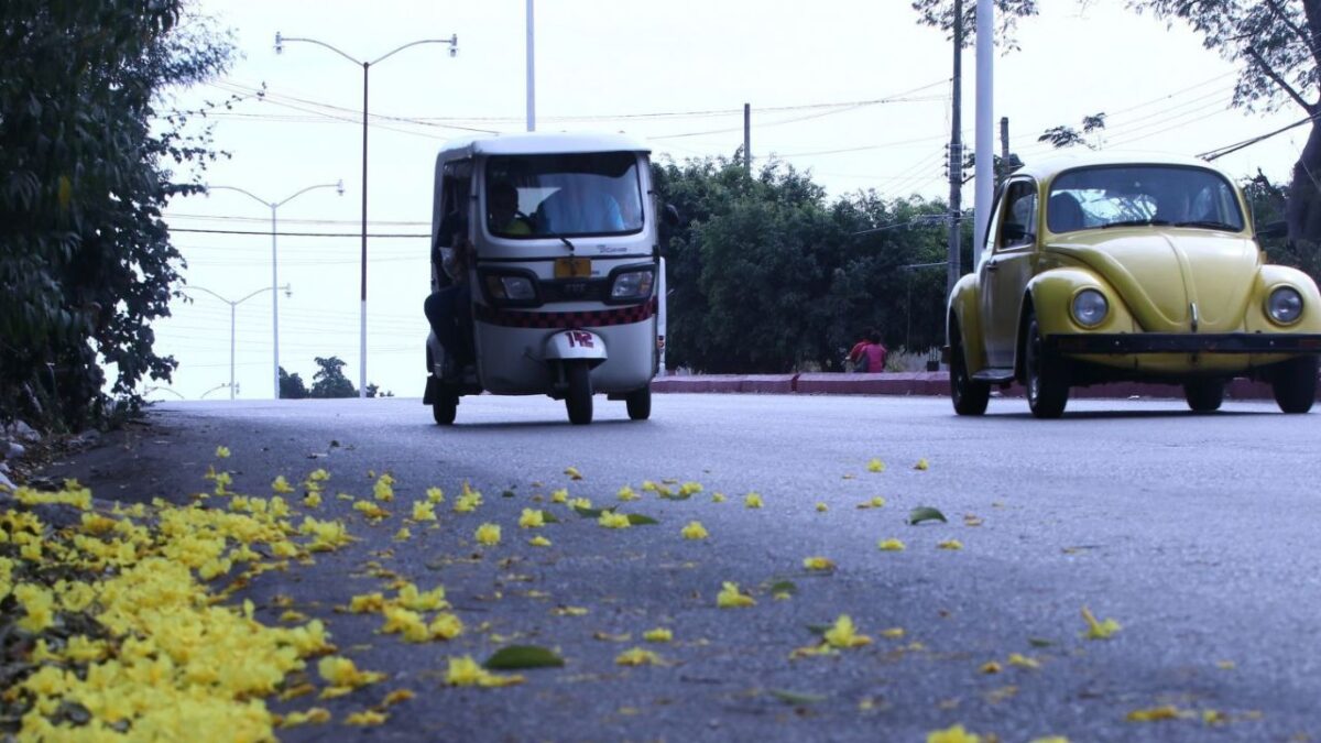 Plantea PAN regulación de mototaxis en CDMX