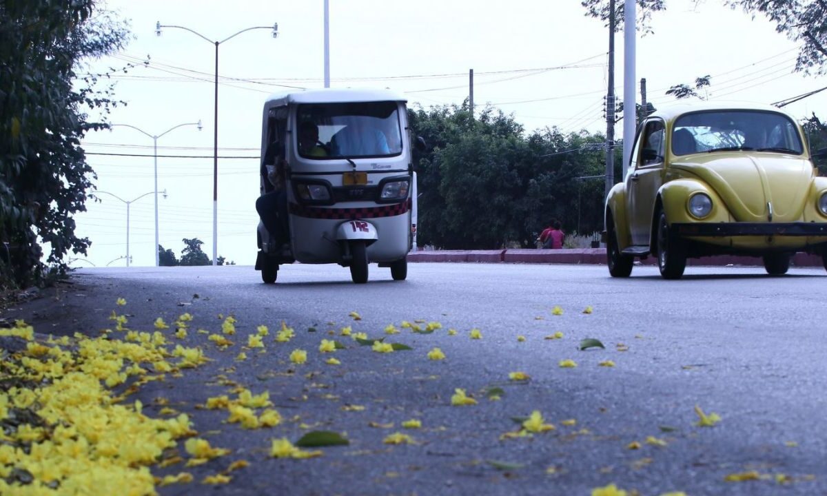 Plantea PAN regulación de mototaxis en CDMX
