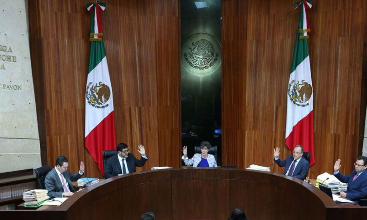 Tribunal Electoral del Poder Judicial de la Federación (TEPJF)