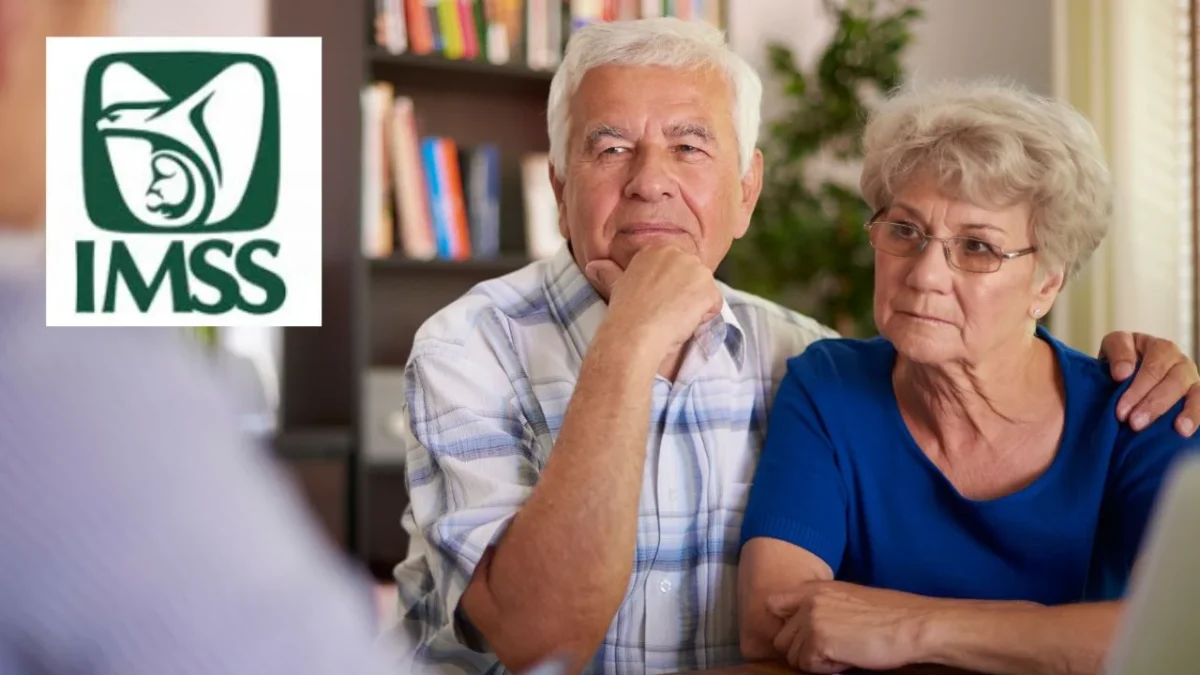 Pensión IMSS