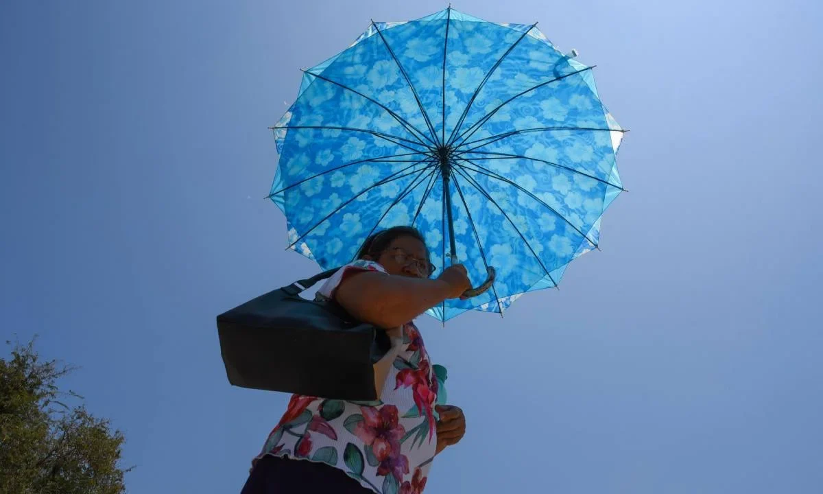 De acuerdo con el clima, hoy prevalece la onda de calor en zonas de Baja California, Baja California Sur, Sonora (oeste y sur) y Sinaloa (norte)