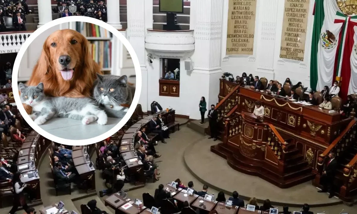 Diputadas celebran la aprobación de la reforma que reconoce a los animales como seres sintientes en el Congreso de la CDMX.