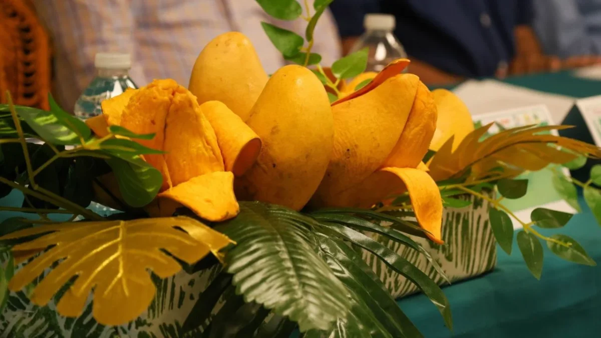 La temporada de mangos está a punto de finalizar ¿sabes en cuánto está el precio promedio de esta fruta? Aquí lo que dice Profeco.