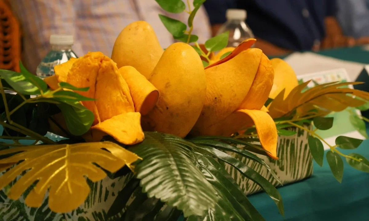 La temporada de mangos está a punto de finalizar ¿sabes en cuánto está el precio promedio de esta fruta? Aquí lo que dice Profeco.