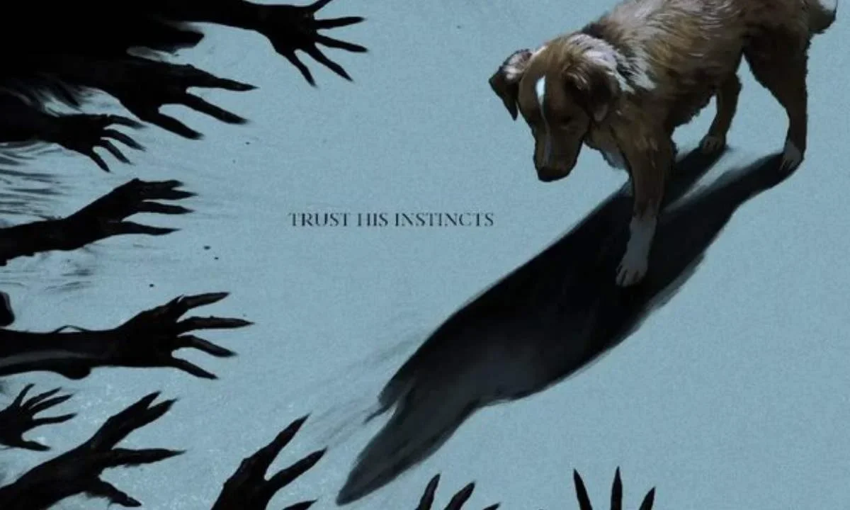 "Good Boy", el terror desde la perspectiva de un perro