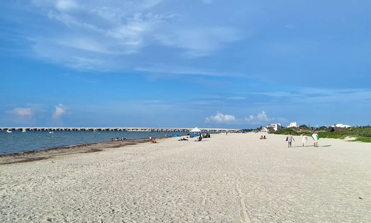 Por la marea roja en Yucatán, suspenden captura del molusco y genera impacto económico a los trabajadores del mar, señalan líderes.