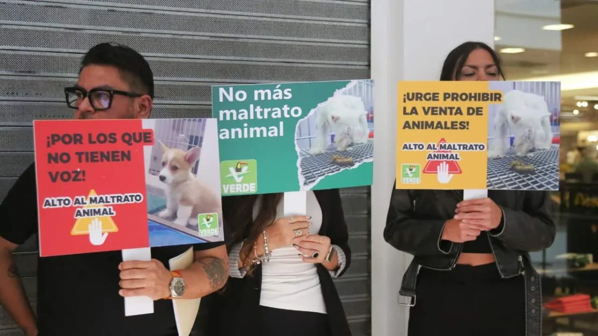 Diputados del PVEM anunciaron iniciativa para prohibir la venta de animales en tiendas y promover su protección.
