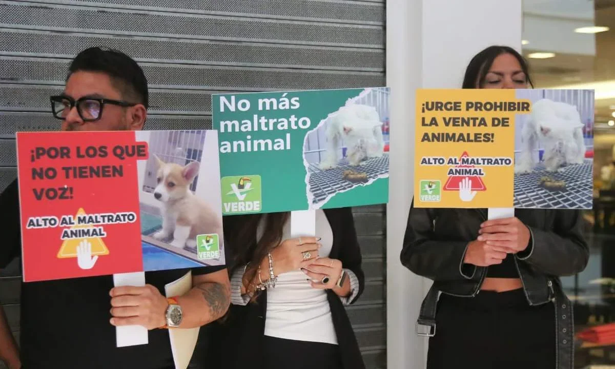 Diputados del PVEM anunciaron iniciativa para prohibir la venta de animales en tiendas y promover su protección.