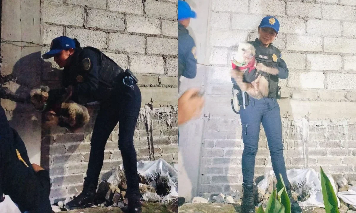 Policías de la CDMX rescataron a dos perritos.